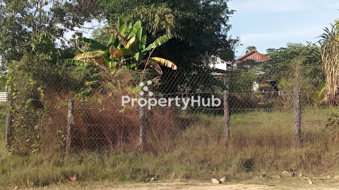 ដីឡូតិ៍ក្នុងភូមិលក់បន្ទាន់