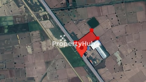 ប្លង់រឹង