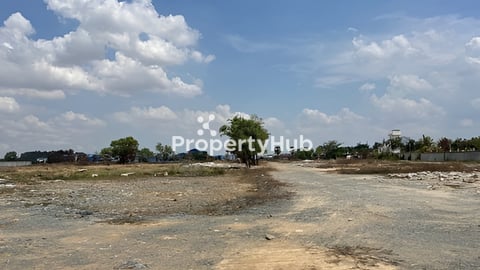 ដីលក់បន្ទាន់ លើផ្លូវ ១០៤ រង្វង់មូលគួរស្រូវ