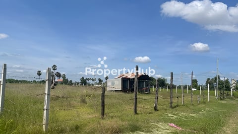 ដីស្រែ3527m2 ផ្លូវ៤១/៤kmពីថ្នល់ទទឹងកំពង់ស្ពឺ