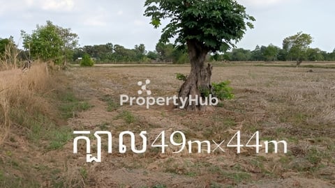 ដីលក់