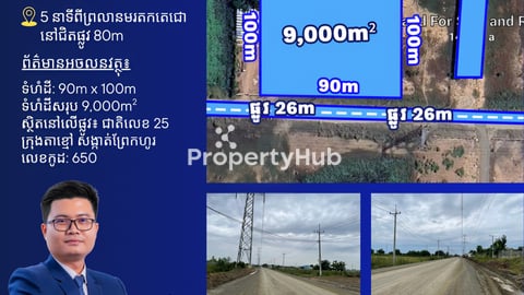 ដីលក់នៅជិតផ្លូវ80ម
