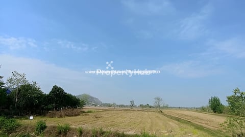 ដីលក់បន្ទាន់​ 22m x 75m