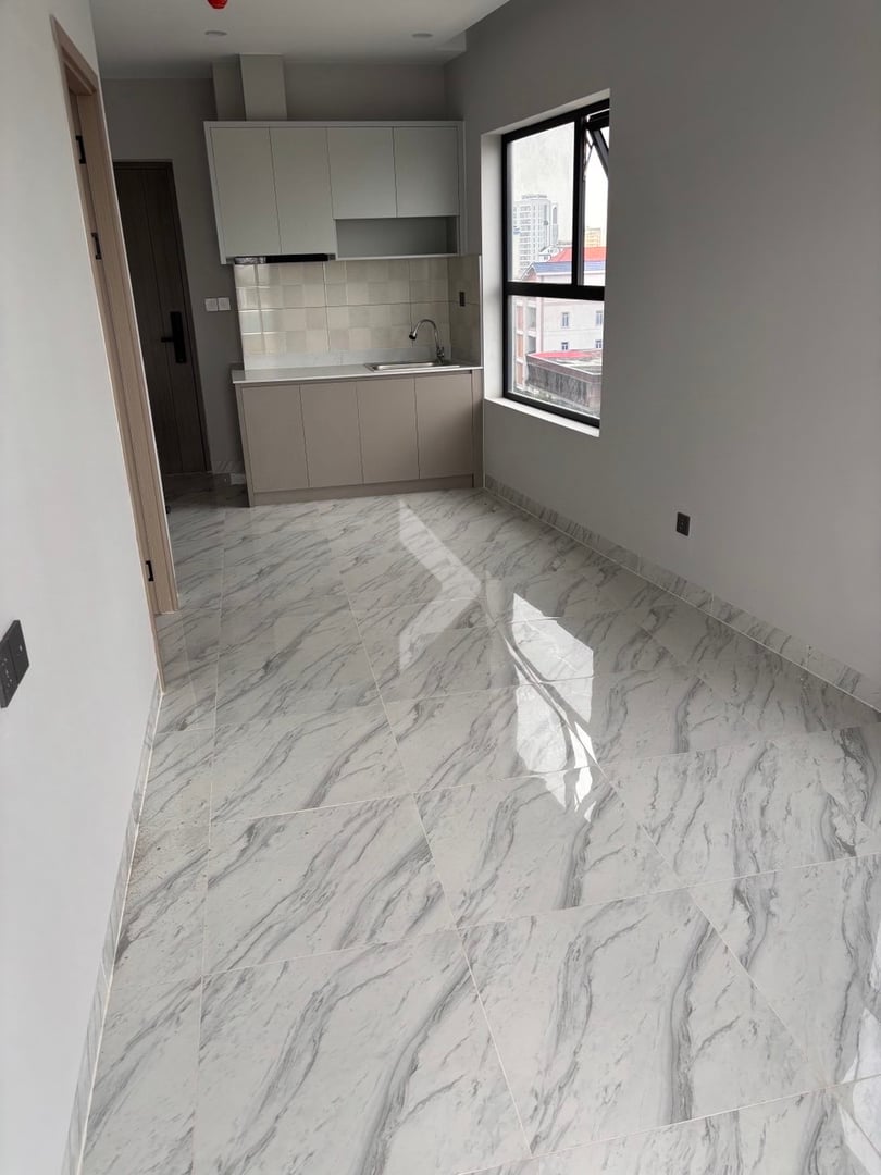 Кондо 1 комната 43 м² Sangkat Phnom Penh Thmei, Камбоджа