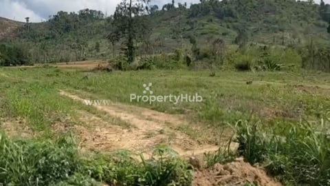 065: ដីវាលវែង 3.7 ha អាចធ្វើ Resort