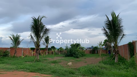 ដីស្អាត​ មានរបង