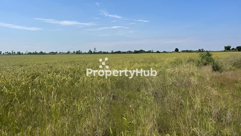 ដីលក់ ឫជួល30 ហិកតា នៅស្រុកតាំងគោក ខេត្តកំពង់ធំ