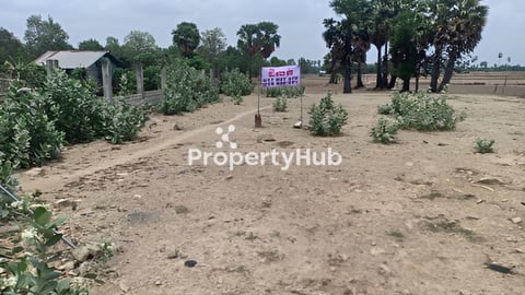 ដីលក់បន្ទាន់ជាប់ផ្លូវធំ ៣០ម៉ែត្រ Urgent land for sale with big road 30m