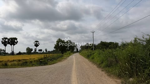 ដីចំការស្វាយលក់ ក្រុងអរិយក្សត្រ ទំហំ 47m x 128m