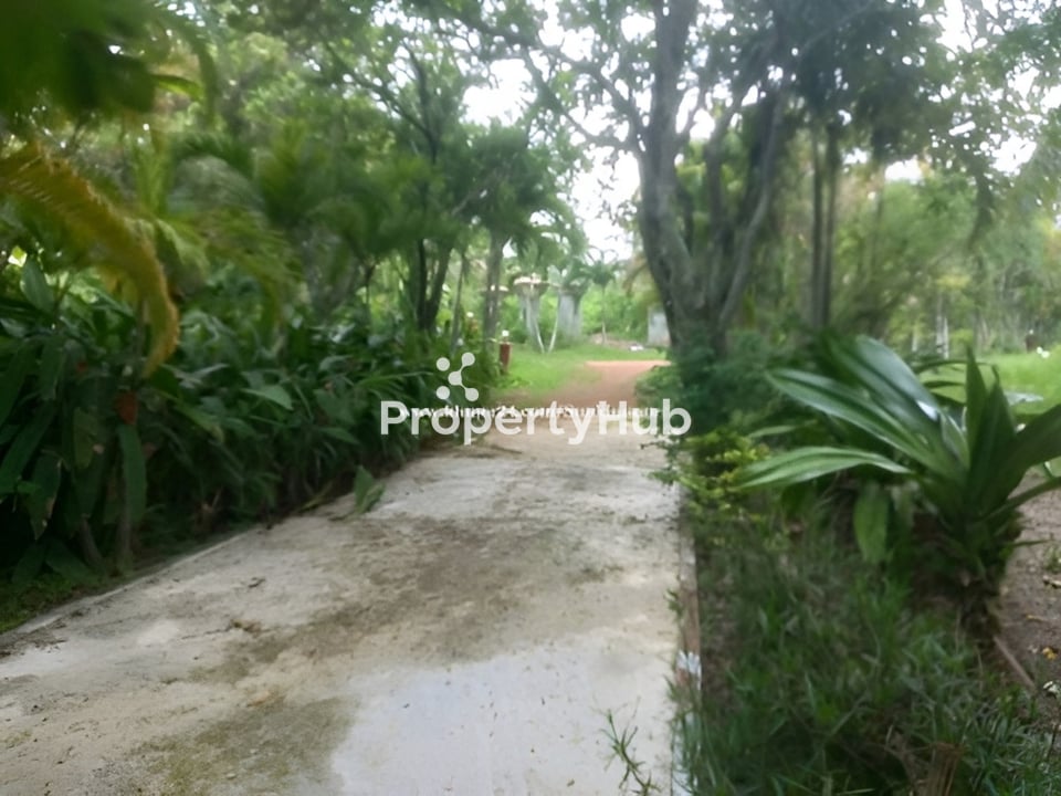 Property 4