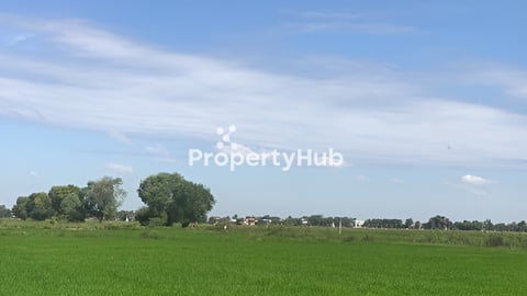 ដីលក់នៅខេត្តកំពង់ចាម ផ្លូវ61