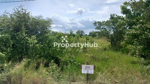 ដី2ឡូលក់បន្ទានជាប់ផ្លូវបេតុង រដ្ឋ 10×22 តម្លៃចរចារ ប្លង់រឹង