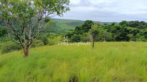 ដីលក់ មណ្ឌលគីរី