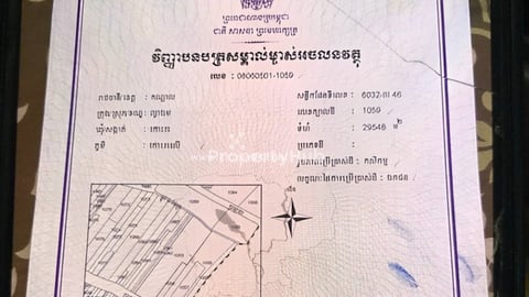 ដីលក់ជាប់ផ្លូវ 10m  ទំហំ 75m x 300m