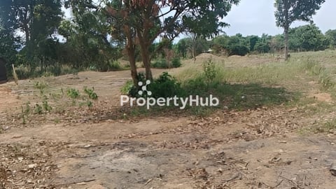 ដីចំការ​លក់​ថោក​ៗ​ ខេត្ត​កំពត​