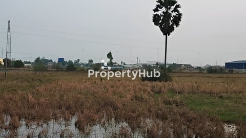 ដីលក់តម្លៃក្រោមទីផ្សារ