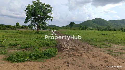 5 Ha Resort land at Road 44 for Sell