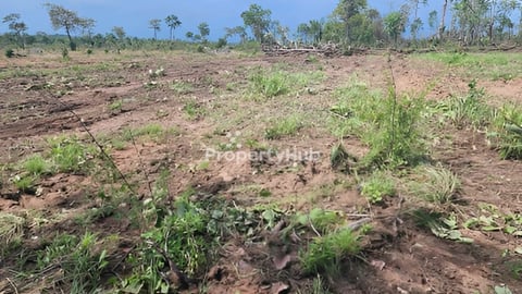 ដីសំរាប់លក់ប្រភេទកសិកម្ម