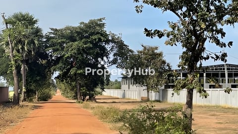 ដីលក់0.5h(ផ្លូវ30ម) បន្ទាន់