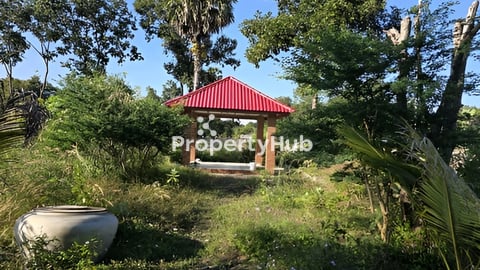 ដីភូមិ៥មែត្រពីថ្នល់កៅស៊ូ លក់75000$ចចារ