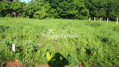 លក់ដីភូមិ ចុះពីផ្លូវជាតិលេខ 66A ចម្ងាយ 130m  ក្បាលដី 15m × បណ្ដោយ 80m តម្លៃ 14000$ ចចារ ប្លងរឹង