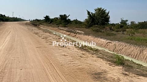 ដីកសិកម្មលក់ឬជួល កំពុងធ្វើប្លង់រឹង