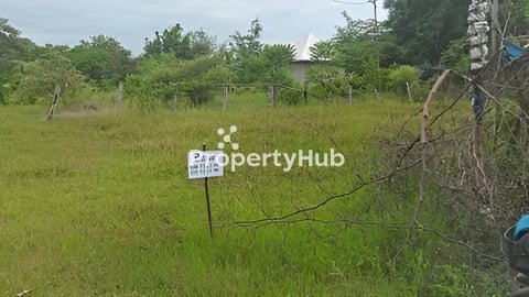 ដីលក់ក្រុងសេរីសេាភ័ណខេតបន្ទាយមានជ័យ