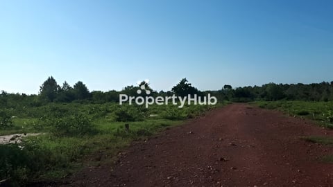 លក់ដីឡូតិ៍ទីតាំងភូមិស្នាសង្គ្រាម ឃុំ បល័ង្គ ស្រុកប្រាសាទបាគង ខេត្តសៀមរាប