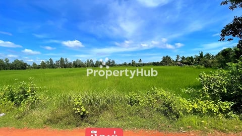 ដីក្បាល:60ម៉ែត្របណ្តោយ:64ម៉ែត្រ