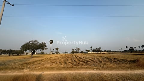 ដីលក់បន្ទាន់