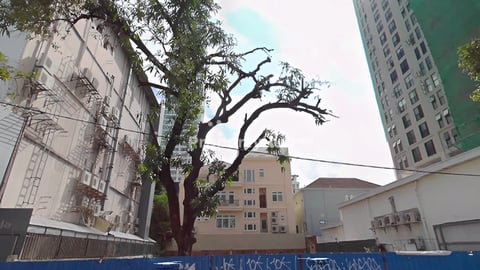 Land for sale on Monivong boulevard ( BKK )