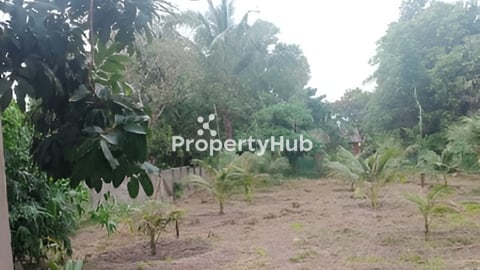 ដីលក់បន្ទាន់ ឃុំព្រះដាក់ ខេត្តសៀមរាប