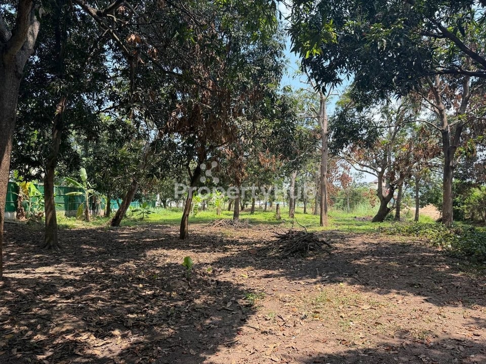 Property 4