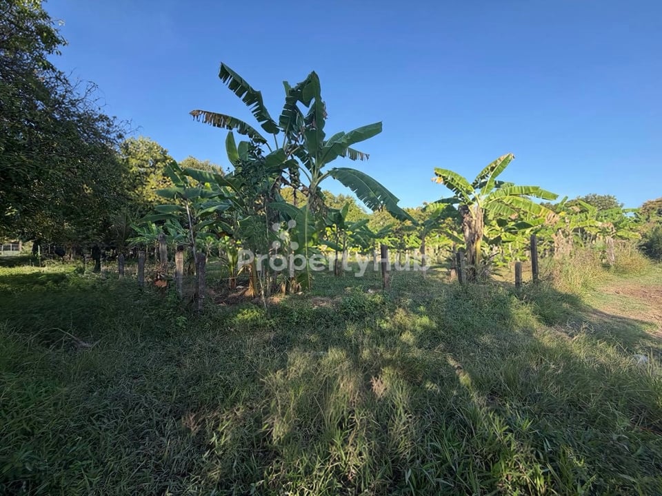 Property 4