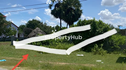 ដីលក់បន្ទាន់នៅព្រៃពួច