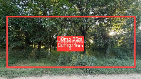 ដីចំការលក់ម្ចាស់ផ្ទាល់ 18m x 55m