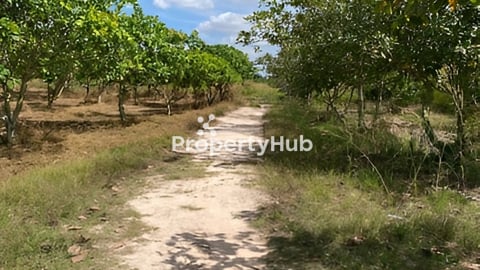 ដីចំការមានឃ្លាំងបួននិងគ្រឿងចក្របន្ថែមទៀត គឺលក់បន្ទាន់