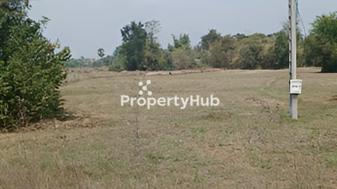 ដីស្រែលក់ជាប់ផ្លូវជាតិលេខ៥៣