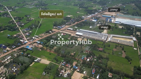 ដីអាជីវកម្ម សម្រាប់ជួល /លក់