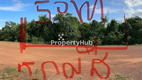 លក់ដីព្រៃ ប្លង់រឹង។ ទាក់ទងសួរនាំបានណាបងៗ ❤️