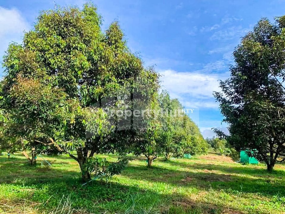 រូបភាពអចលនទ្រព្យទី 5