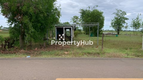 ប្លង់រឹង