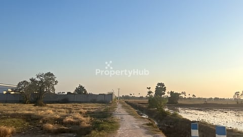 ដីតំបន់ល្អនិងតម្លៃពិសេស