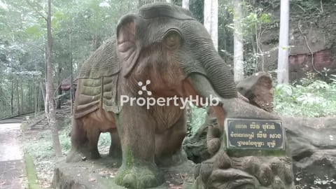 ដីលក់បន្ទាន់ជិតប្រលានSHV