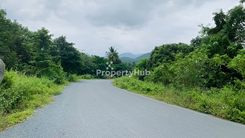 ដីប្រភេទresort នៅច្រកល្អៀងខេត្តពោធិសាត់