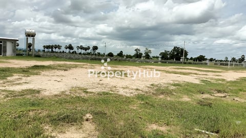 ដីលក់នៅតានី