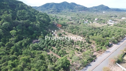 ដីក្រុងកែប ជិតផ្លូវឡើងឧទ្យានកែប