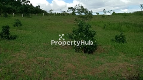 ដីមណ្ឌលគិរី សម្រាប់ជួលធ្វើ កសិកម្ម ឬរីសត