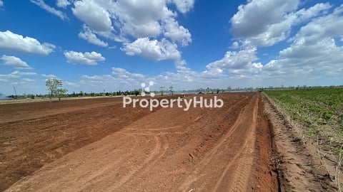 ដីលក់​១ហាត់តា​ ៣៨០០$ចរចា​​ (ស្រែណូយ)