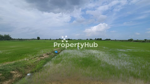 ដីលក់ក្បែព្រលានថ្មី